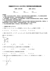 河南省宝丰市2022-2023学年七下数学期末质量检测模拟试题含答案