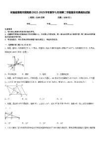 河南省濮阳市濮阳县2022-2023学年数学七年级第二学期期末经典模拟试题含答案