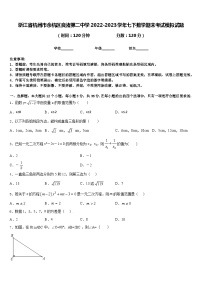 浙江省杭州市余杭区良渚第二中学2022-2023学年七下数学期末考试模拟试题含答案