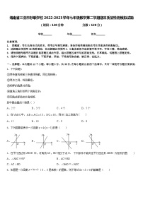 海南省三亚市妙联学校2022-2023学年七年级数学第二学期期末质量检测模拟试题含答案