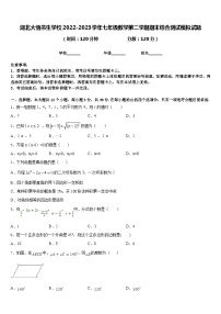 湖北大悟书生学校2022-2023学年七年级数学第二学期期末综合测试模拟试题含答案