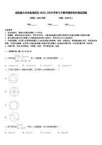 湖北省大冶市金湖街办2022-2023学年七下数学期末综合测试试题含答案