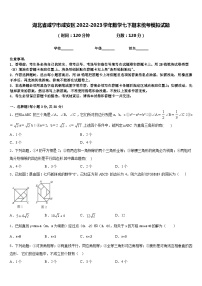 湖北省咸宁市咸安区2022-2023学年数学七下期末统考模拟试题含答案