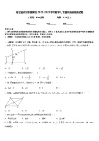 湖北省武汉市黄陂区2022-2023学年数学七下期末质量检测试题含答案