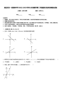 湖北武汉一初慧泉中学2022-2023学年七年级数学第二学期期末质量检测模拟试题含答案