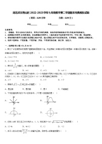 湖北武汉青山区2022-2023学年七年级数学第二学期期末经典模拟试题含答案