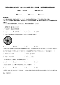 湖北省黄石市富池片区2022-2023学年数学七年级第二学期期末检测模拟试题含答案