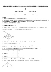 湖北省襄阳市老河口市第四中学2022-2023学年七年级数学第二学期期末达标测试试题含答案