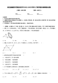 湖北省襄阳市枣阳实验中学2022-2023学年七下数学期末调研模拟试题含答案