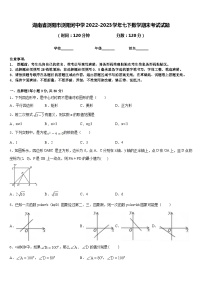 湖南省浏阳市浏阳河中学2022-2023学年七下数学期末考试试题含答案