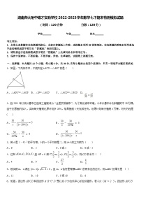 湖南师大附中博才实验学校2022-2023学年数学七下期末检测模拟试题含答案