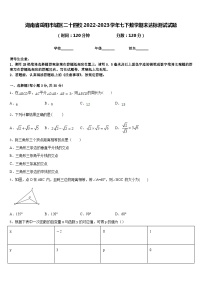 湖南省岳阳市城区二十四校2022-2023学年七下数学期末达标测试试题含答案