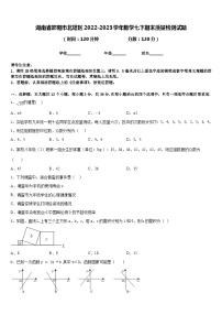 湖南省邵阳市北塔区2022-2023学年数学七下期末质量检测试题含答案