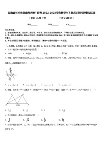 湖南省长沙市湖南师大附中联考2022-2023学年数学七下期末达标检测模拟试题含答案