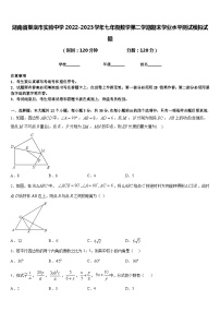 湖南省娄底市实验中学2022-2023学年七年级数学第二学期期末学业水平测试模拟试题含答案