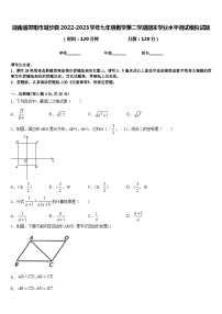 湖南省邵阳市城步县2022-2023学年七年级数学第二学期期末学业水平测试模拟试题含答案