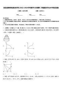 湖北省黄州思源实验学校2022-2023学年数学七年级第二学期期末学业水平测试试题含答案