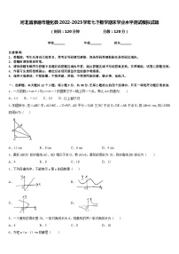 河北省承德市隆化县2022-2023学年七下数学期末学业水平测试模拟试题含答案