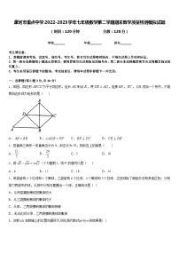 漯河市重点中学2022-2023学年七年级数学第二学期期末教学质量检测模拟试题含答案