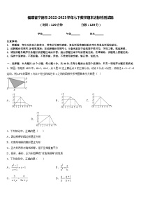 福建省宁德市2022-2023学年七下数学期末达标检测试题含答案