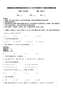 西藏自治区日喀则市南木林县2022-2023学年数学七下期末统考模拟试题含答案