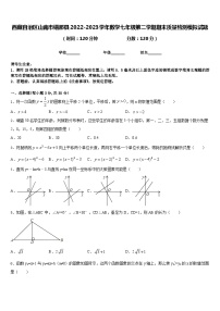 西藏自治区山南市错那县2022-2023学年数学七年级第二学期期末质量检测模拟试题含答案