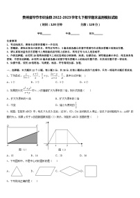 贵州省毕节市织金县2022-2023学年七下数学期末监测模拟试题含答案