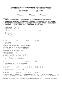 辽宁省新宾县2022-2023学年数学七下期末综合测试模拟试题含答案