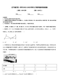 辽宁省灯塔一中学2022-2023学年七下数学期末检测试题含答案