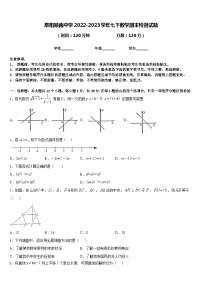 阜阳颍南中学2022-2023学年七下数学期末检测试题含答案