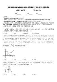 陕西省咸阳市武功县2022-2023学年数学七下期末复习检测模拟试题含答案