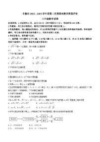 河北省石家庄市辛集市2022-2023学年八年级下学期期末数学试题（含答案）