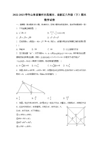 山东省德州市禹城市高新区2022-2023学年八年级下学期期末数学试卷（含答案）