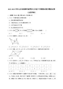 山东省淄博市高青县2022-2023学年七年级下学期期末数学模拟试卷（五四学制）（含答案）