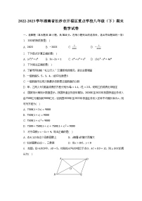 2022-2023学年湖南省长沙市开福区重点学校八年级（下）期末数学试卷（含解析）