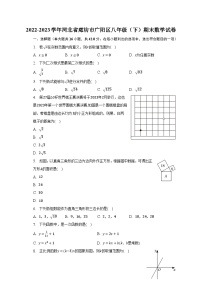 2022-2023学年河北省廊坊市广阳区八年级（下）期末数学试卷（含解析）