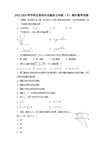 2022-2023学年河北省邢台市威县七年级（下）期末数学试卷（含解析）