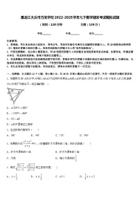 黑龙江大庆市万宝学校2022-2023学年七下数学期末考试模拟试题含答案