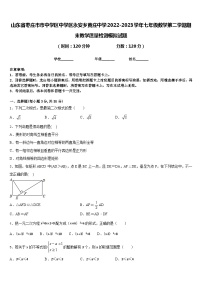 山东省枣庄市市中学区中学区永安乡黄庄中学2022-2023学年七年级数学第二学期期末教学质量检测模拟试题含答案