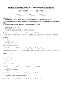 上海市宝山区刘行新华实验学校2022-2023学年数学七下期末调研试题含答案