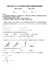 天津市宁河区2022-2023学年数学七年级第二学期期末达标检测试题含答案