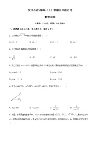 2022-2023学年度吉林省长市长高新第二实验学校九年级上学期第三次月考数学试题