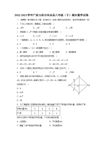 2022-2023学年广西玉林市兴业县八年级（下）期末数学试卷（含解析）