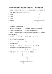 2022-2023学年浙江省金华市七年级（下）期末数学试卷（含解析）