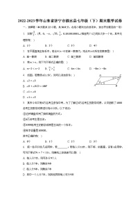 2022-2023学年山东省济宁市泗水县七年级（下）期末数学试卷（含解析）