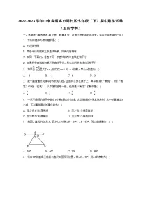2022-2023学年山东省淄博市周村区七年级（下）期中数学试卷（五四学制）（含解析）