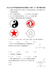 2022-2023学年陕西省宝鸡市凤翔区八年级（下）期中数学试卷（含解析）