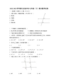 2022-2023学年浙江省金华市七年级（下）期末数学试卷（含解析）