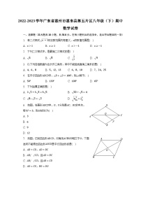 2022-2023学年广东省惠州市惠东县第五片区八年级（下）期中数学试卷（含解析）