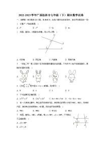 2022-2023学年广西桂林市七年级（下）期末数学试卷（含解析）